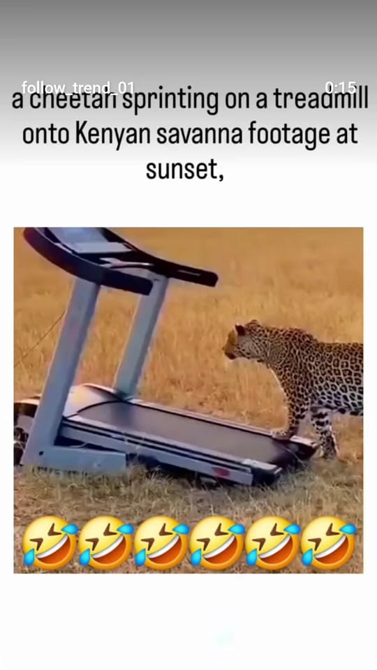 Post 3 by Tureal Mckoy on TikTok (video)