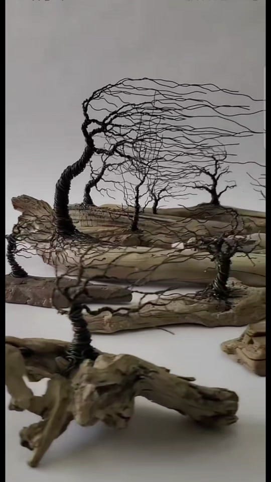 Post 1 by Jill Erdman | Artist on TikTok (video)