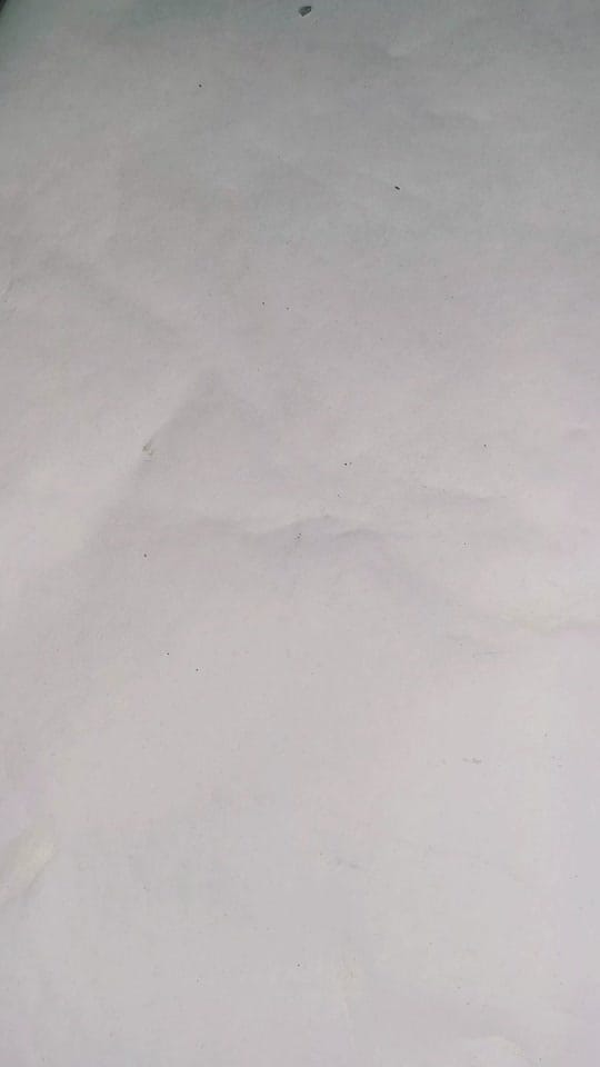 Post 10 by Jill Erdman | Artist on TikTok (video)