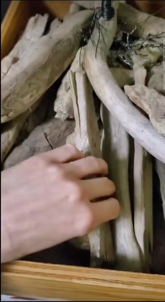 Post 5 by Jill Erdman | Artist on TikTok (video)