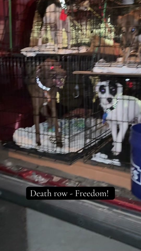 Post 7 by Olivia on TikTok (video)