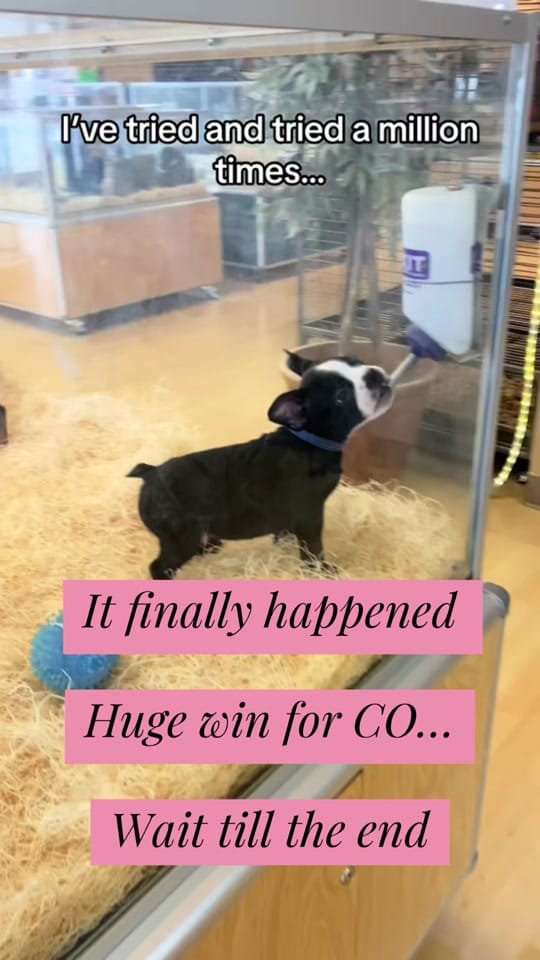 Post 1 by Olivia on TikTok (video)