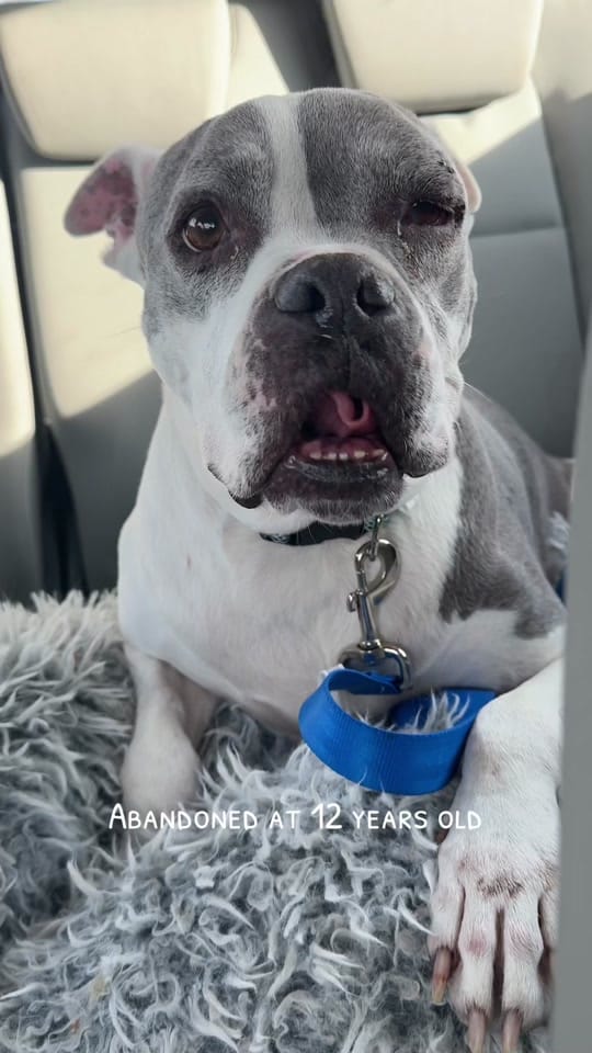 Post 5 by Olivia on TikTok (video)