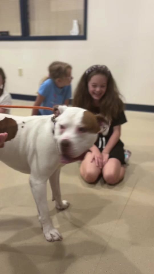 Post 6 by Fort Wayne Animal Care on TikTok (video)