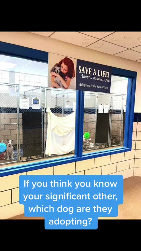 Post 10 by Fort Wayne Animal Care on TikTok (video)