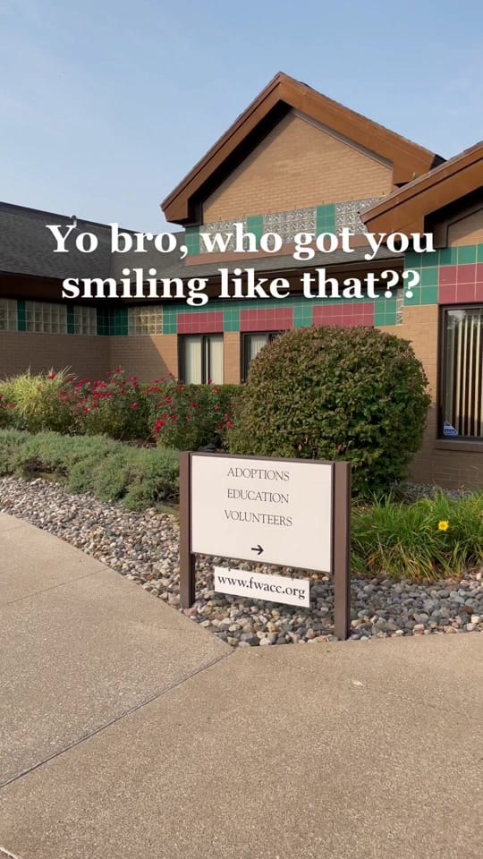 Post 9 by Fort Wayne Animal Care on TikTok (video)