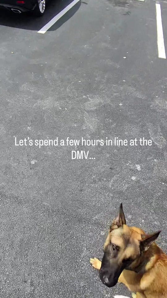 Post 2 by Jax & Laze on TikTok (video)