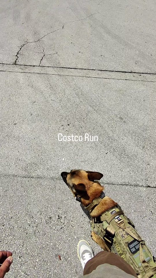 Post 8 by Jax & Laze on TikTok (video)