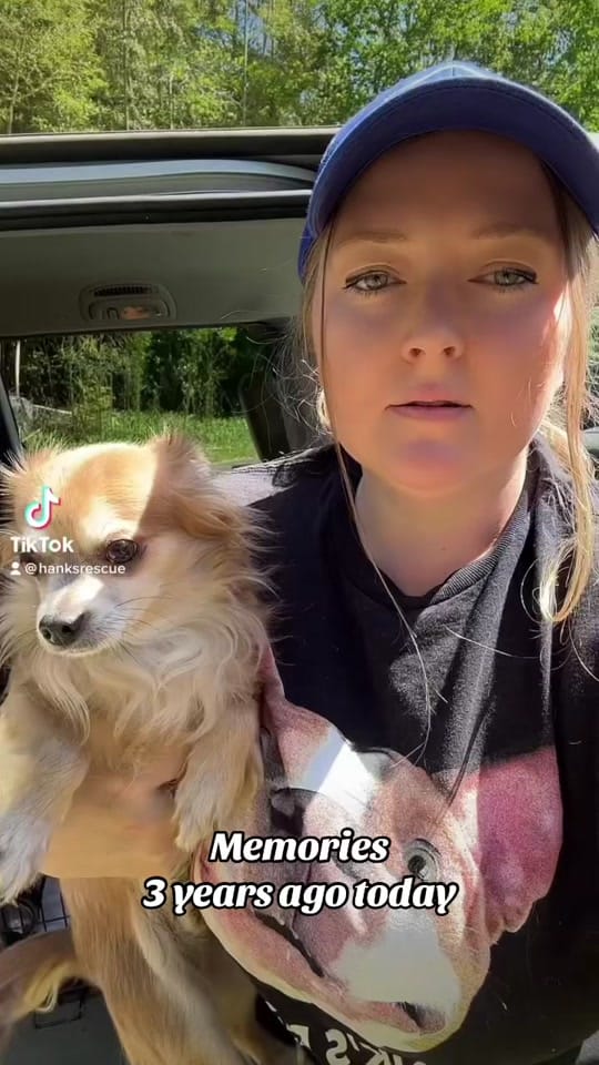 Post 5 by Hanks Rescue on TikTok (video)