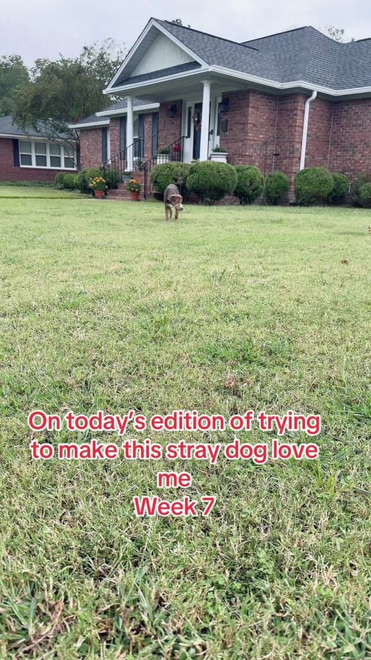 Post 9 by jennjensc on TikTok (video)