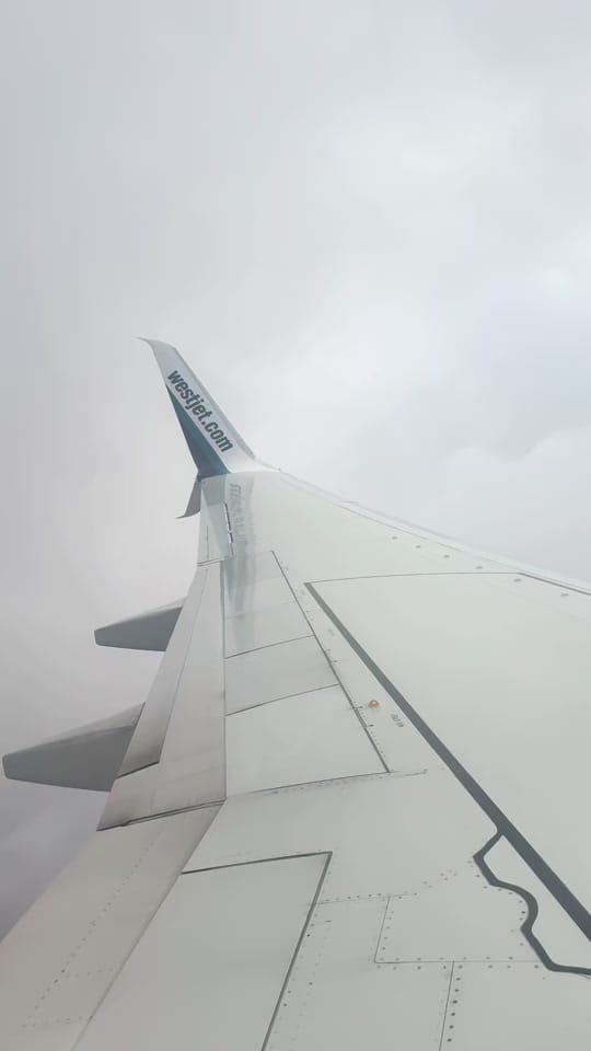 Post 2 by Zona on TikTok (video)