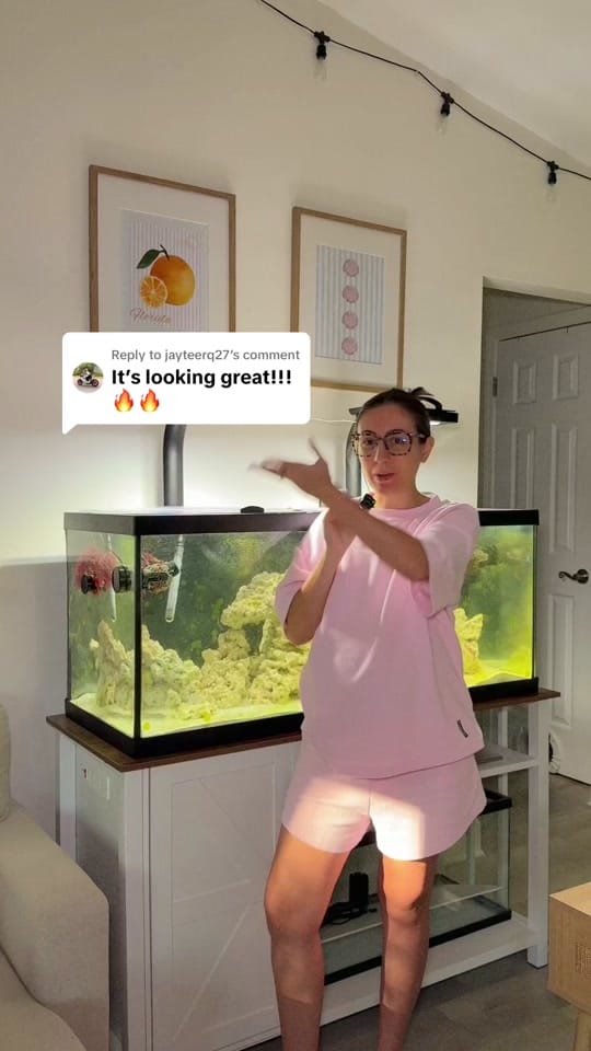 Post 7 by Megan | Coastal Living 🌴🌞🐠 on TikTok (video)
