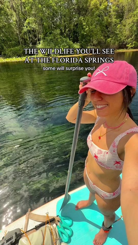 Post 9 by Megan | Coastal Living 🌴🌞🐠 on TikTok (video)