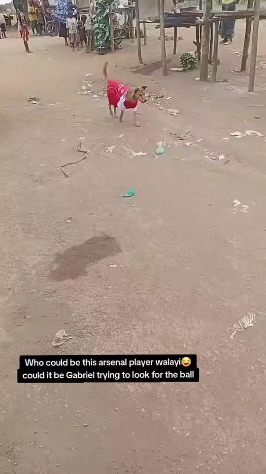 Post 2 by Iganga man utd fans initiative on TikTok (video)