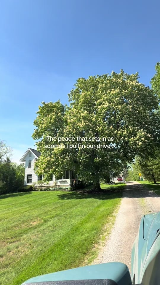 Post 7 by Caitlyn Farinacci 🌾🩵 on TikTok (video)