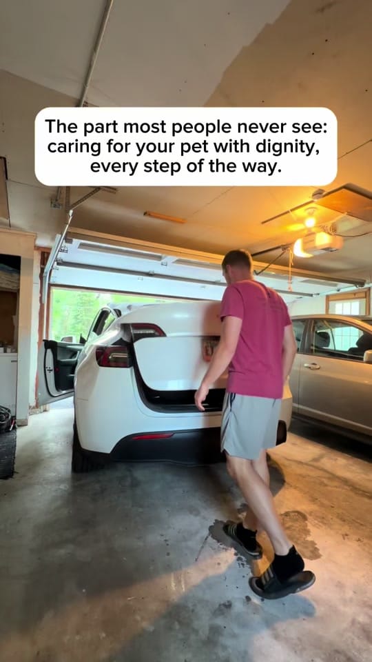 Post 1 by Dr. Murray Hospice Vet on TikTok (video)