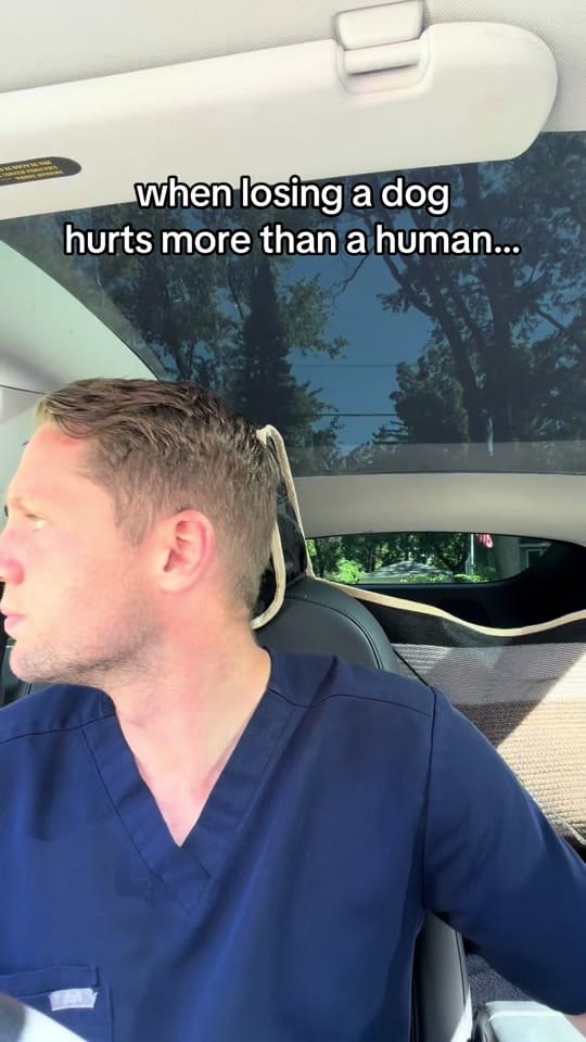 Post 5 by Dr. Murray Hospice Vet on TikTok (video)