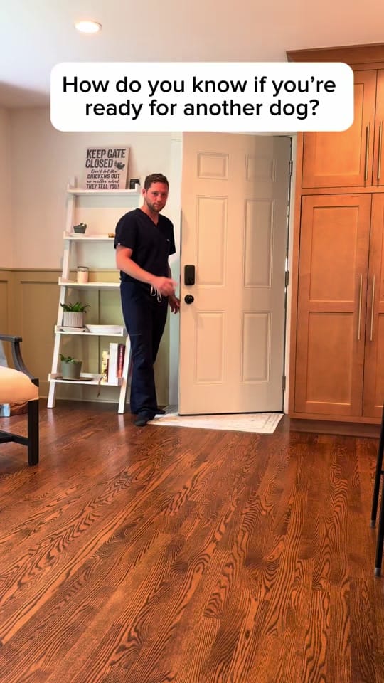 Post 3 by Dr. Murray Hospice Vet on TikTok (video)