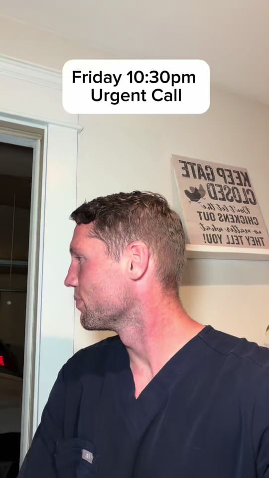 Post 4 by Dr. Murray Hospice Vet on TikTok (video)