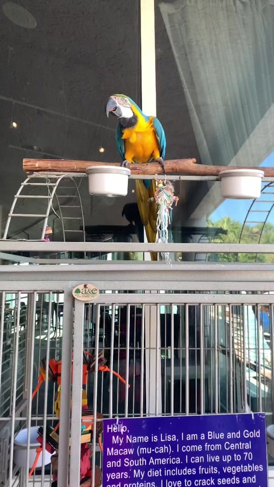 Post 3 by Keimandra&Jonathan ❤️ on TikTok (video)