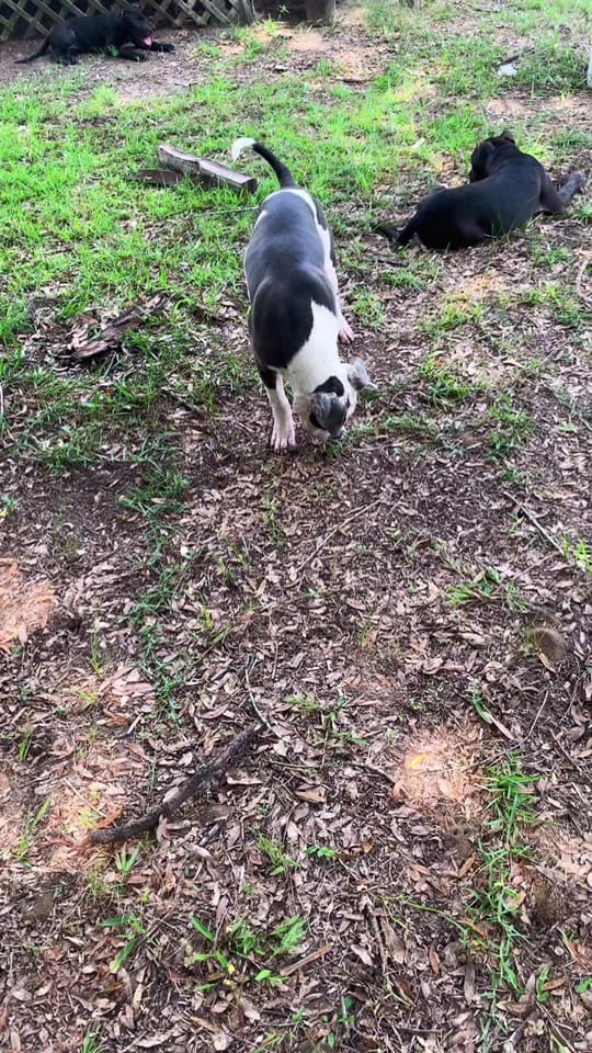 Post 4 by Keimandra&Jonathan ❤️ on TikTok (video)