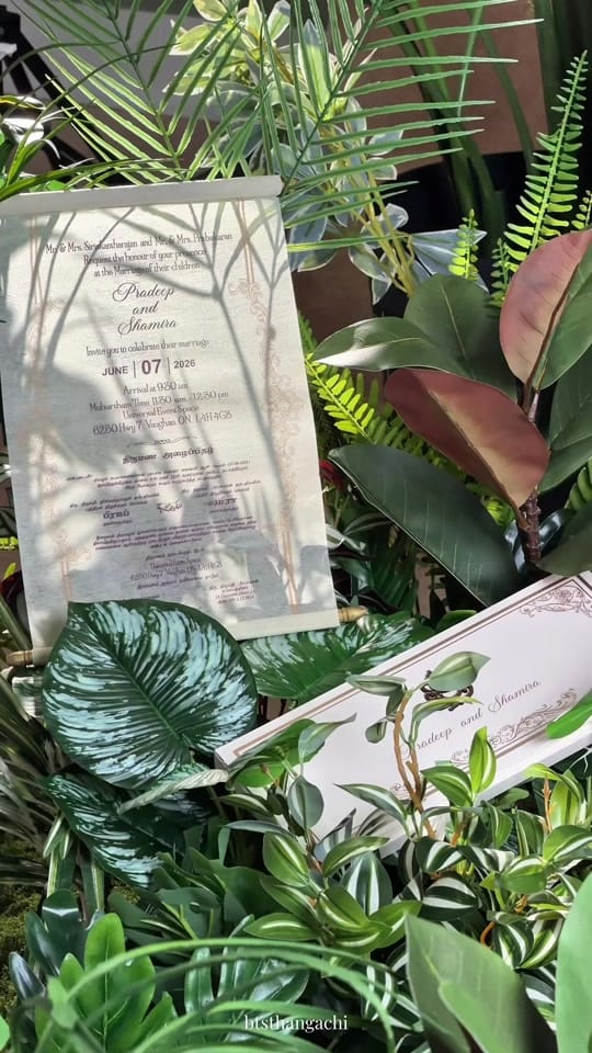 Post 4 by Vahini on TikTok (video)