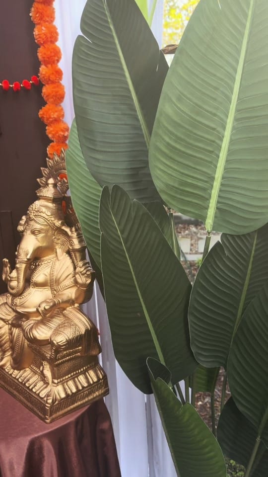 Post 9 by Vahini on TikTok (video)