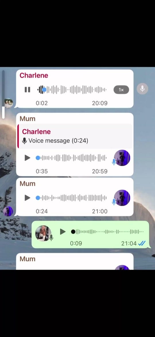 Post 7 by Dan on TikTok (video)