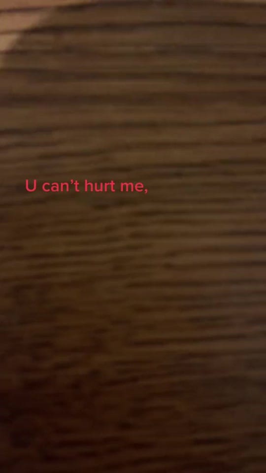 Post 10 by Sarah Nicole📚💞 on TikTok (video)