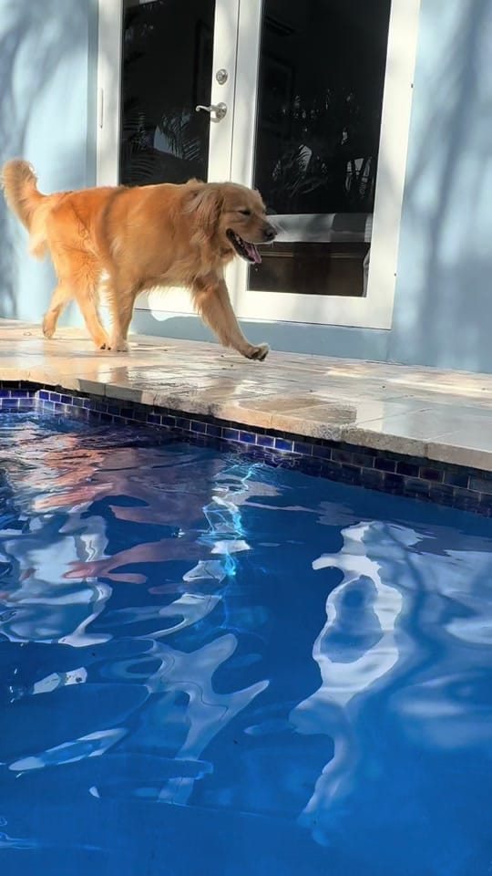 Post 1 by Dali on TikTok (video)