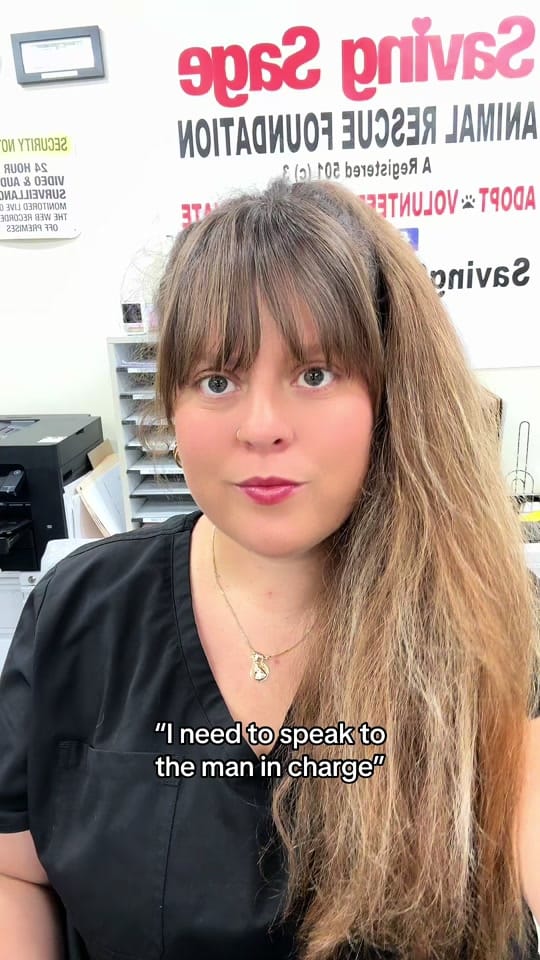 Post 6 by Dali on TikTok (video)
