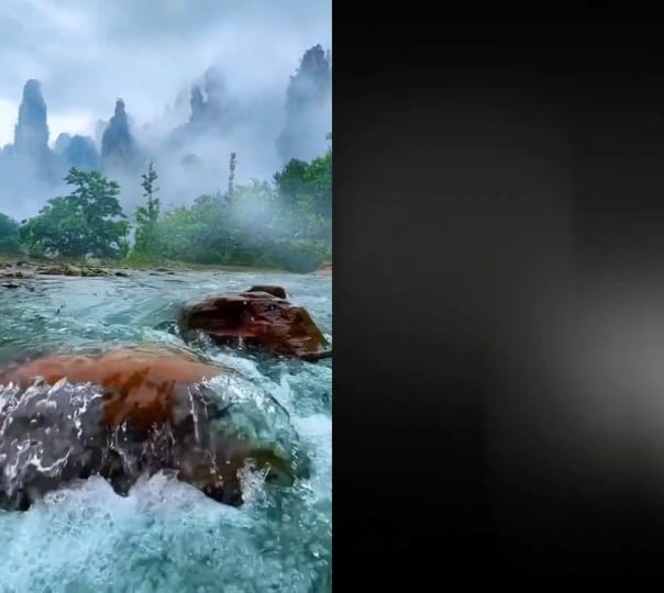 Post 2 by GenXUtah on TikTok (video)
