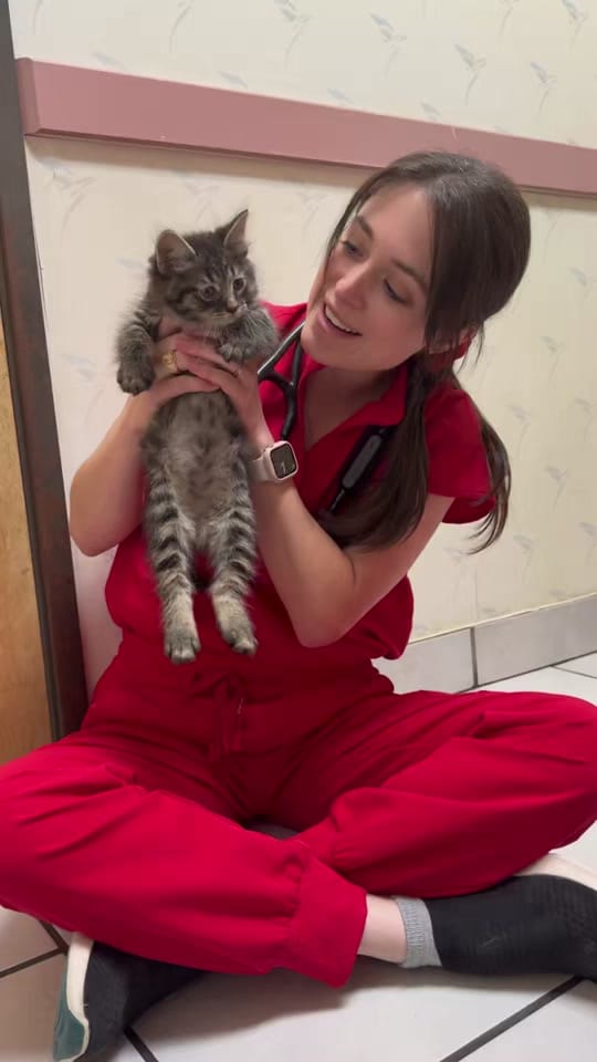 Post 6 by Dr. Rachel Siu on TikTok (video)