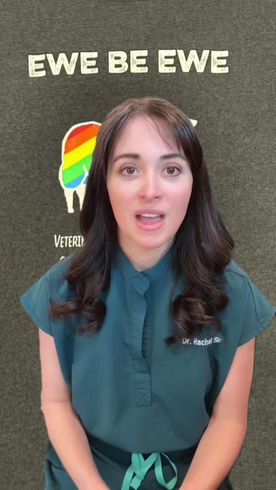 Post 3 by Dr. Rachel Siu on TikTok (video)
