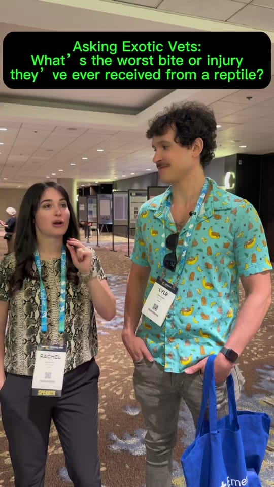 Post 1 by Dr. Rachel Siu on TikTok (video)