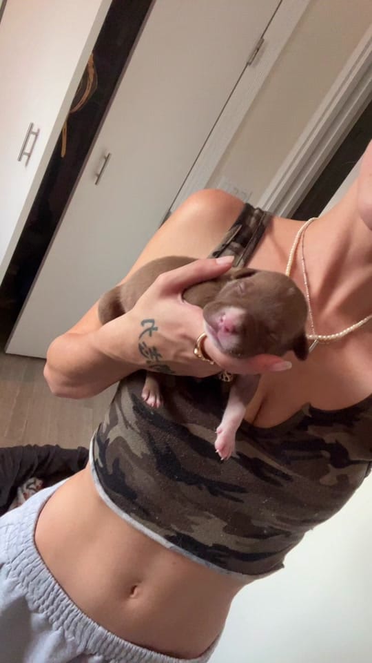 Post 7 by Lo Devereaux❤️ on TikTok (video)