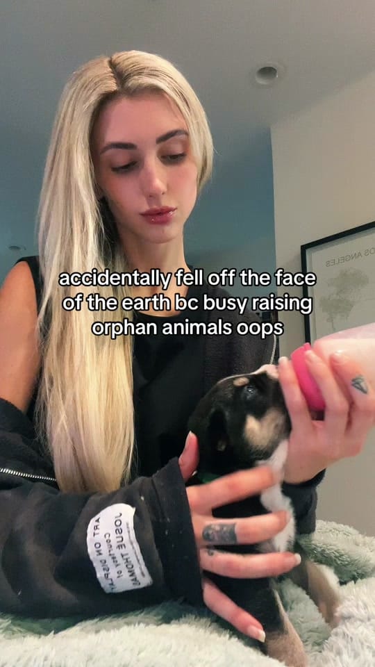 Post 4 by Lo Devereaux❤️ on TikTok (video)