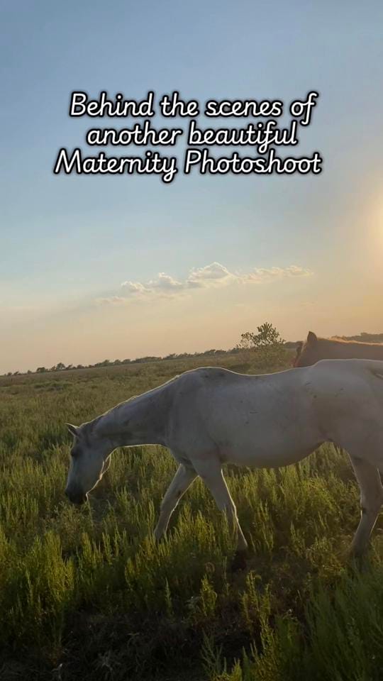 Post 4 by Brittanyd838 on TikTok (video)