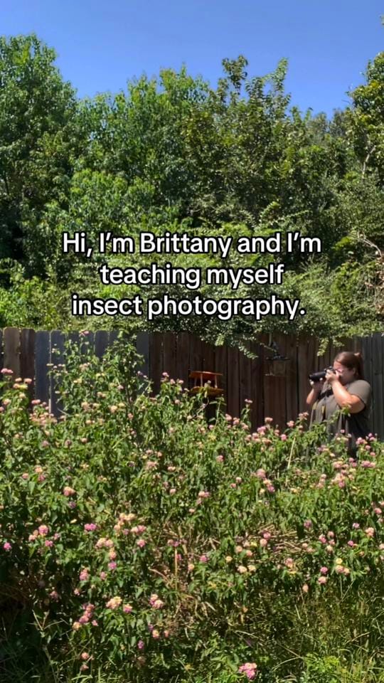 Post 8 by Brittanyd838 on TikTok (video)
