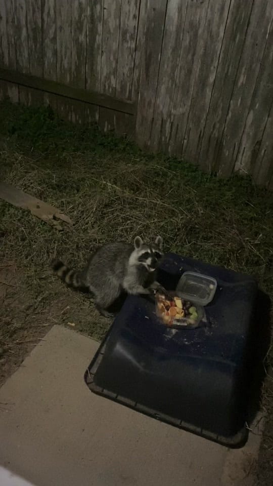 Post 10 by Brittanyd838 on TikTok (video)
