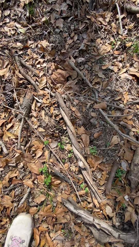 Post 5 by Brittanyd838 on TikTok (video)