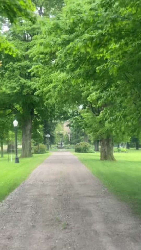 Post 7 by Sara Lam | Event Planner on TikTok (video)