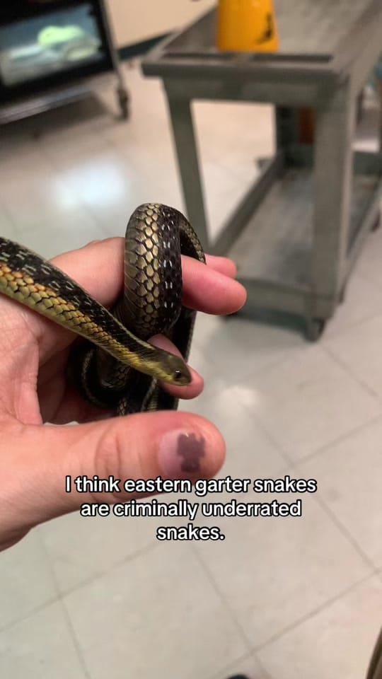 Post 5 by Kai on TikTok (video)