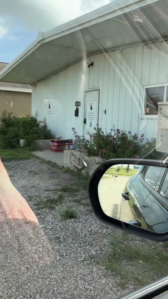 Post 3 by Edgar & Ivy’s Cat Sanctuary on TikTok (video)
