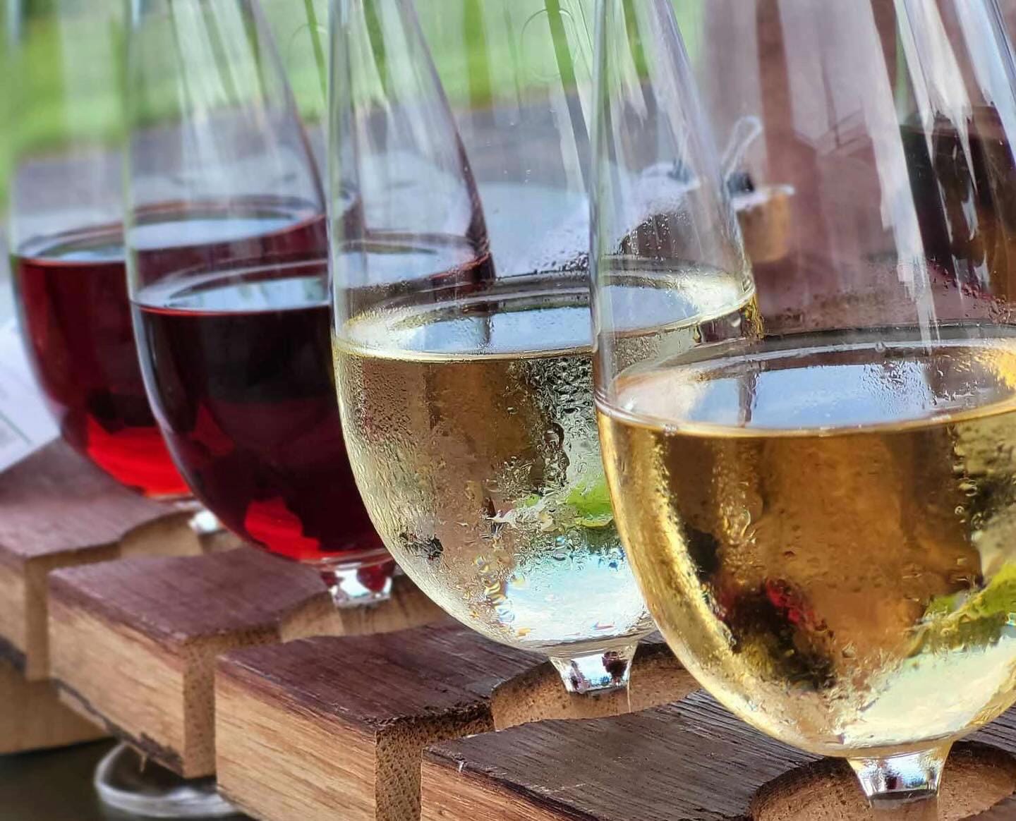 Post 4 by Hernder Estate Wines on TikTok (video)