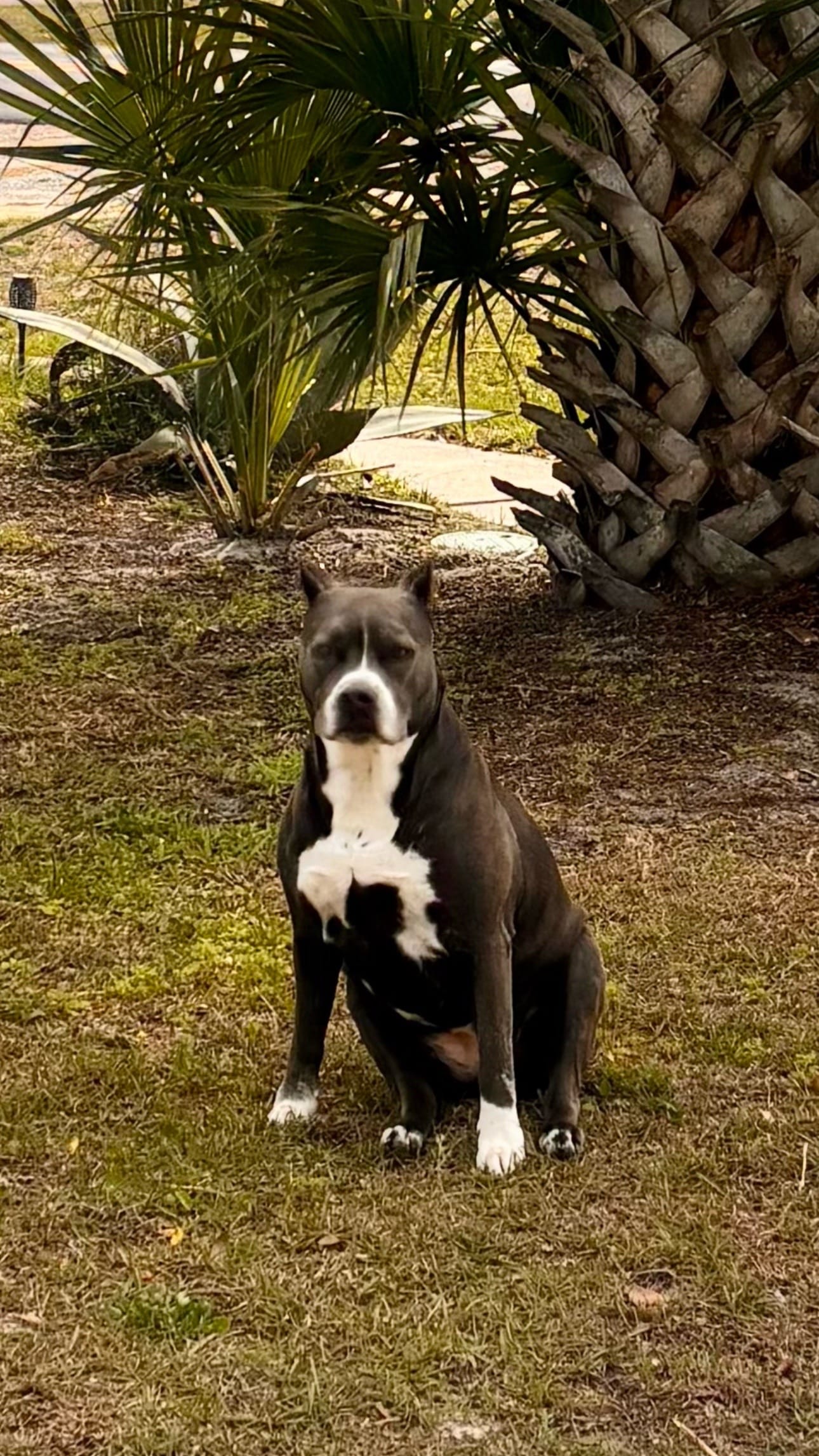 Post 1 by @Michelle-Barfield-9 on TikTok (video)