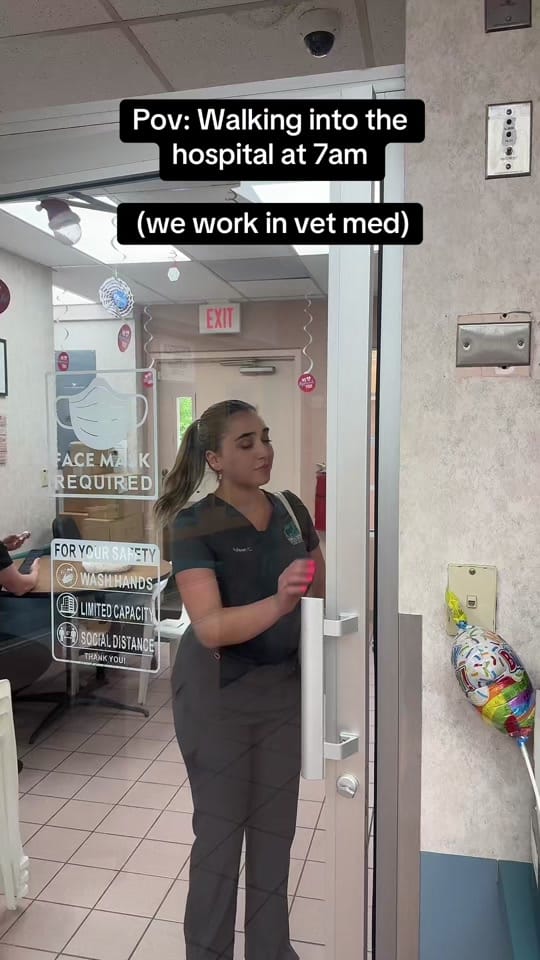 Post 9 by Town & Country Animal Hospital on TikTok (video)
