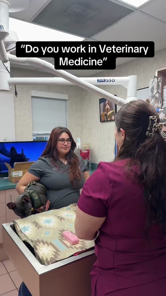 Post 8 by Town & Country Animal Hospital on TikTok (video)