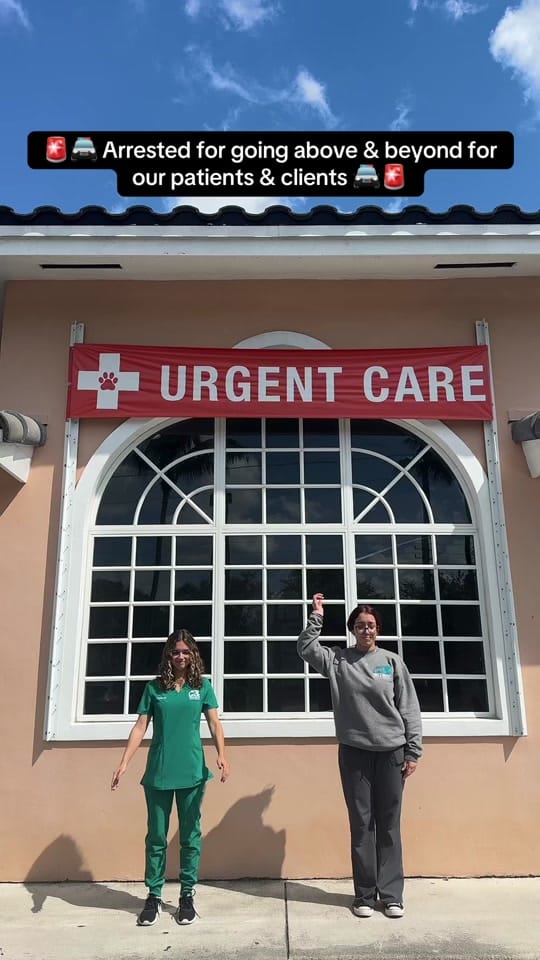 Post 1 by Town & Country Animal Hospital on TikTok (video)