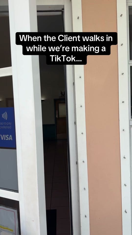Post 10 by Town & Country Animal Hospital on TikTok (video)